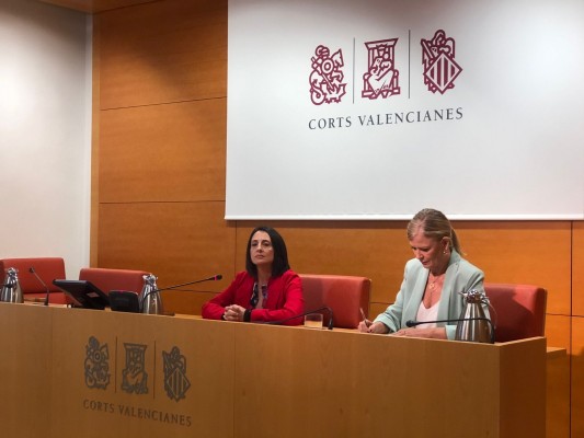 El PSPV exige a Mazón que no se pliegue a Vox y mantenga los juzgados de violencia de género