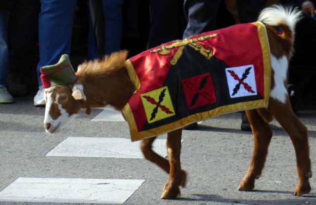La cabra de la legió

