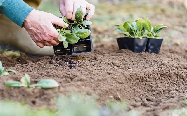 Más de 4.800 agricultores de la Región reciben 5,3 millones de las ayudas por el encarecimiento de fertilizantes