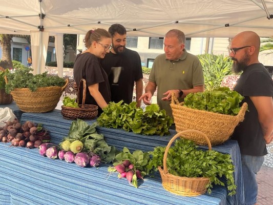 Castellón inaugura su mercado agroecológico 'Sabora' en la plaza Fadrell

