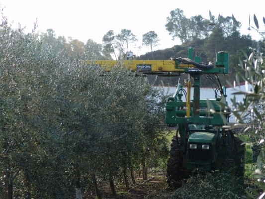 Los menores de 40 años representan el 16% de la base social en las cooperativas agroalimentarias