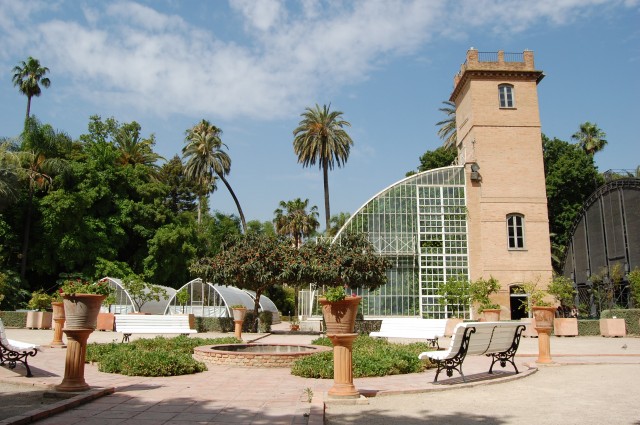 El Jardí Botànic recupera su ciclo de jazz, 