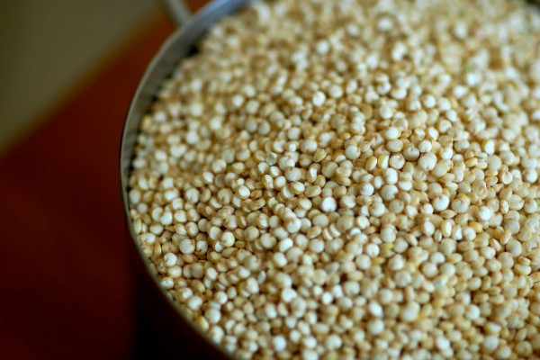 Logran bizcochos con más proteínas con productos andinos como quinoa