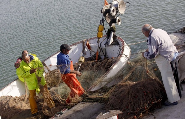 La sobreexplotación pesquera ha bajado un 20% en el Mediterráneo entre 2017 y 2023