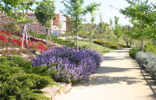 Alicante valida la ampliación de la contrata de zonas verdes tras incorporar nuevos parques