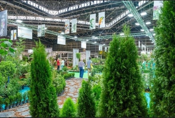 Ivace y Cámara Valencia organizan una misión inversa de empresas importadoras a Iberflora