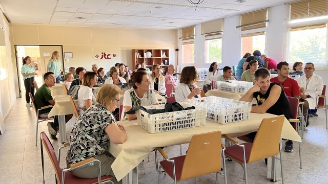 El ITC y la Fundación Adecco celebran un taller de pintura cerámica para personas con discapacidad