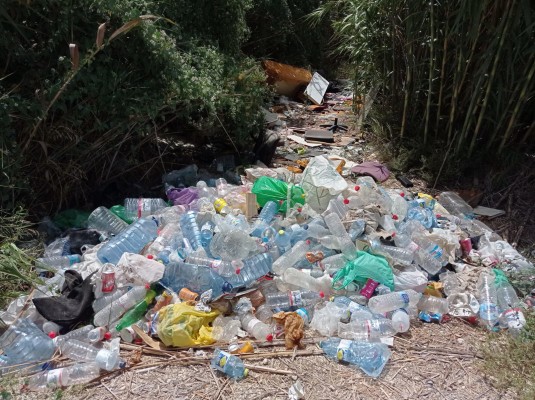 Ahsa denuncia el aumento vertido ilegales en Carrizales en Elche y pide al Ayuntamiento que actúe