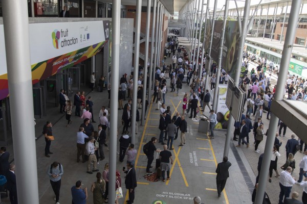 Más de 150 empresas de la Comunitat Valenciana participan en Fruit Attraction este año