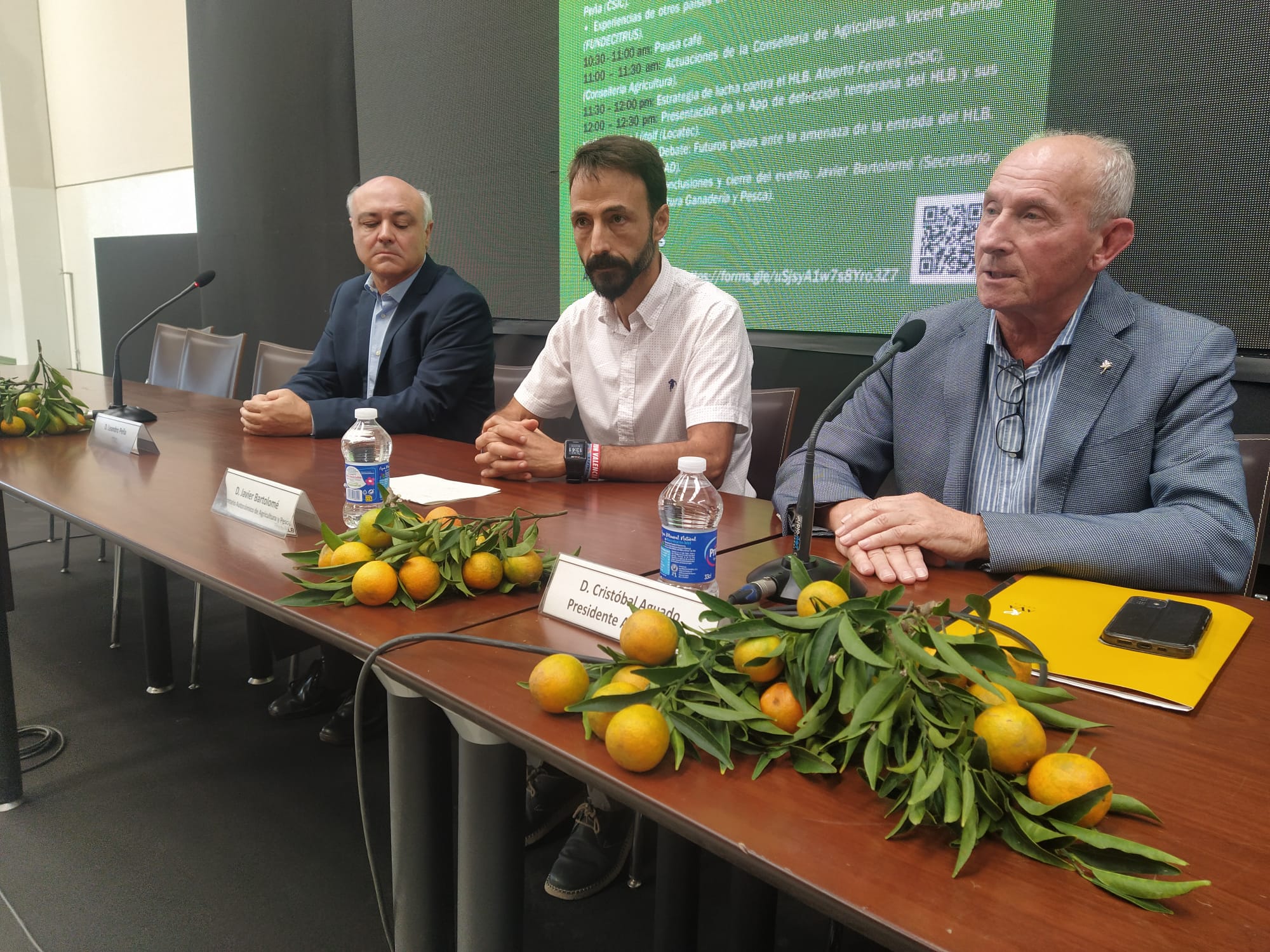 El proyecto PRE-HLB apremia a la UE a estar lo mejor preparados para el HLB: 