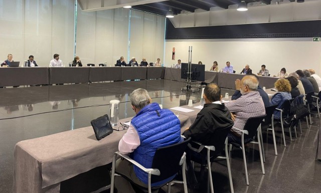 PP y Vox siguen la renovación en Elche: entidades festeras entran al Consejo Social y cambio en el comité Edusi