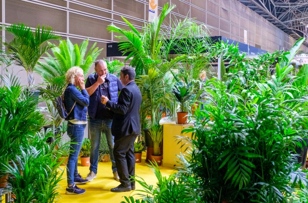 Un total de 435 marcas se dan cita en Iberflora, la feria de referencia del sector verde en España