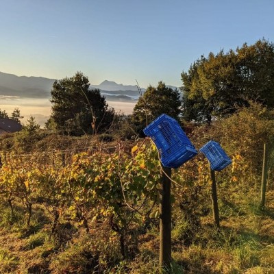 Andurreo bilbaíno y viva el vino