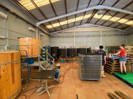 La experiencia piloto 'Labora Emprén Cooperatiu' concluye con la creación de 14 nuevas empresas 