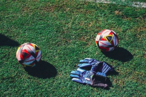 Las resoluciones de la RFEF como termómetro