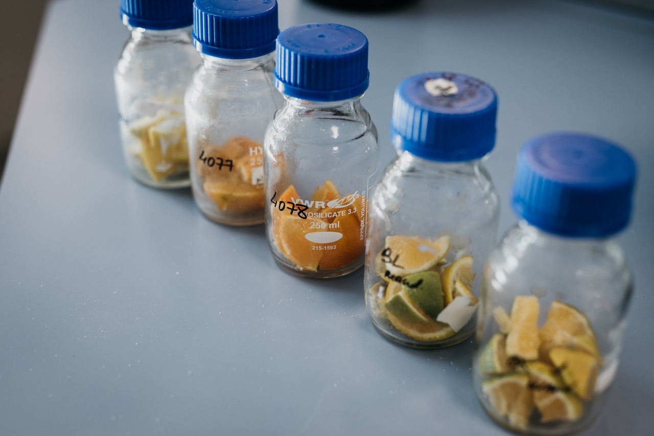 Laboratorios Tecnológicos de Levante presenta avances para una agricultura más sostenible 
