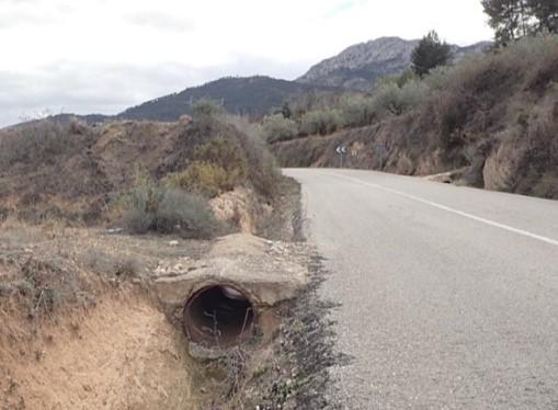 Carretera de acceso a Beniatjar. Foto: Diputació de València - 