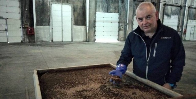La alicantina Bioflytech invertirá 22 millones en una nueva planta de insectos en Lugo