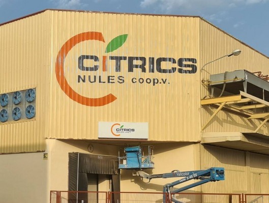El juez ya tramita el concurso de Cítrics de Nules mientras negocian las indemnizaciones del ERE

