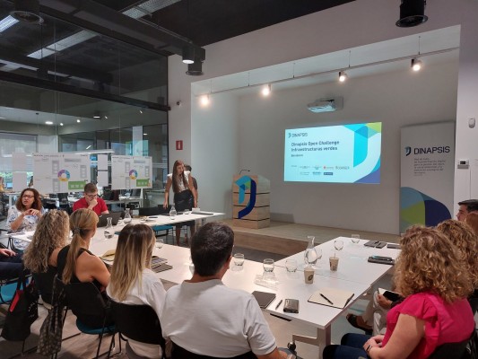 Dinapsis Open Challenge: cómo afrontar los retos sobre gestión de infraestructuras verdes 