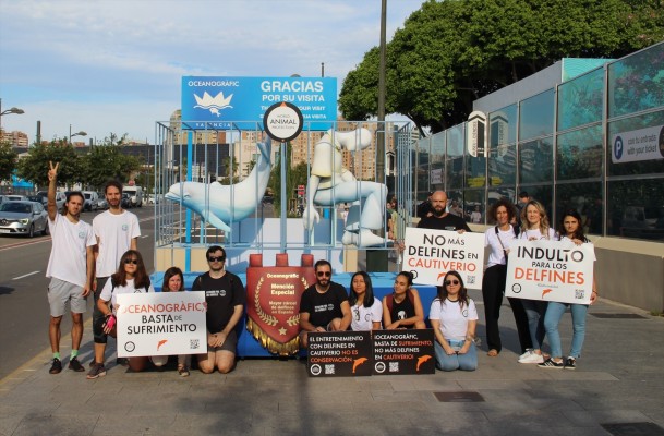 Una ONG animalista 'planta' una falla frente al Oceanogràfic para exigir el 