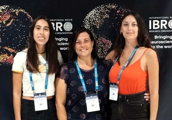 Incliva y la UV investigan la pérdida de conectividad entre hipocampos en el Alzheimer