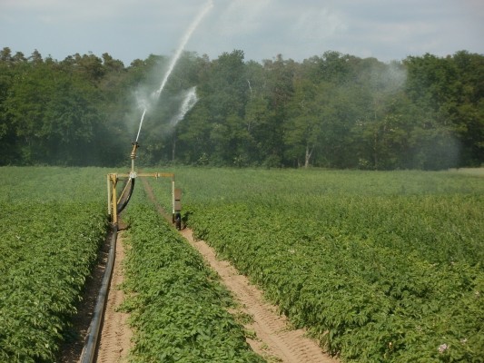 La gestión integral de los recursos hídricos debe potenciar la agricultura valenciana