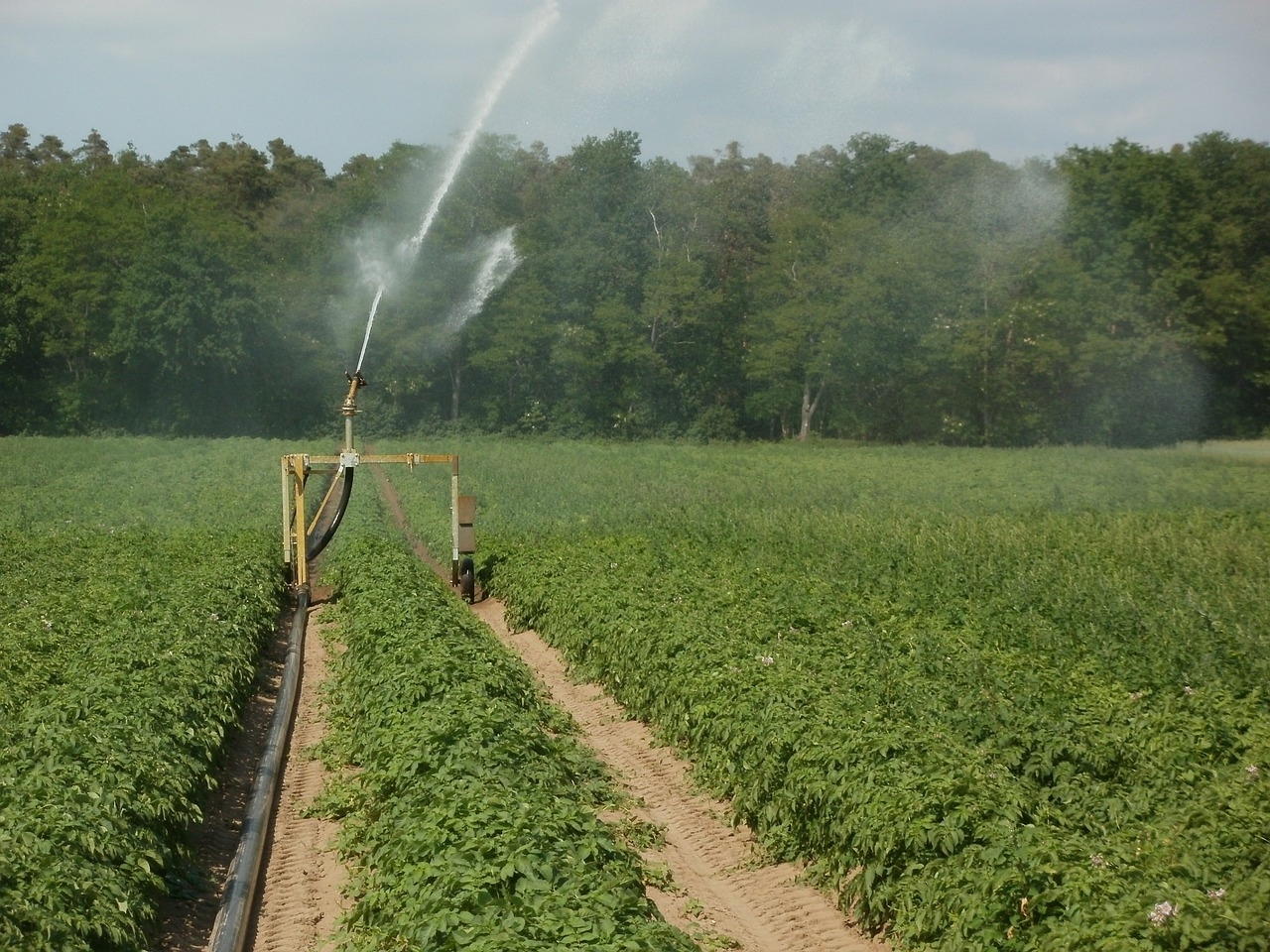 La gestión integral de los recursos hídricos debe potenciar la agricultura valenciana