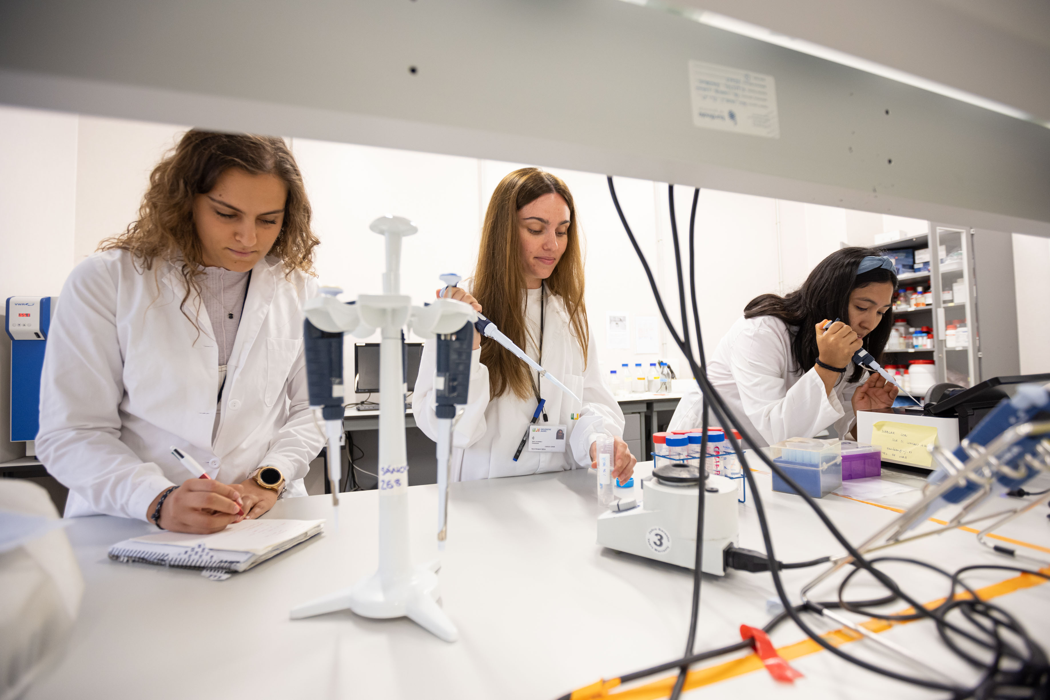 Una docena de grupos de la UJI contribuyen a la investigación sobre el Alzheimer