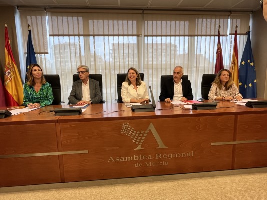 La Asamblea reduce de dos a un único pleno mensual las sesiones de control del Gobierno
