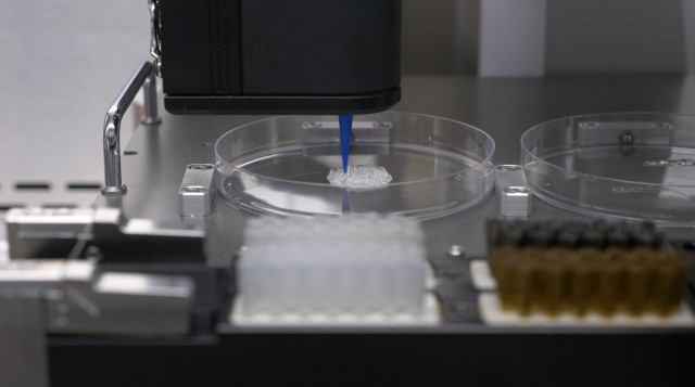 Un equipo de la UMH de Elche desarrolla un modelo de piel humana mediante impresión 3D