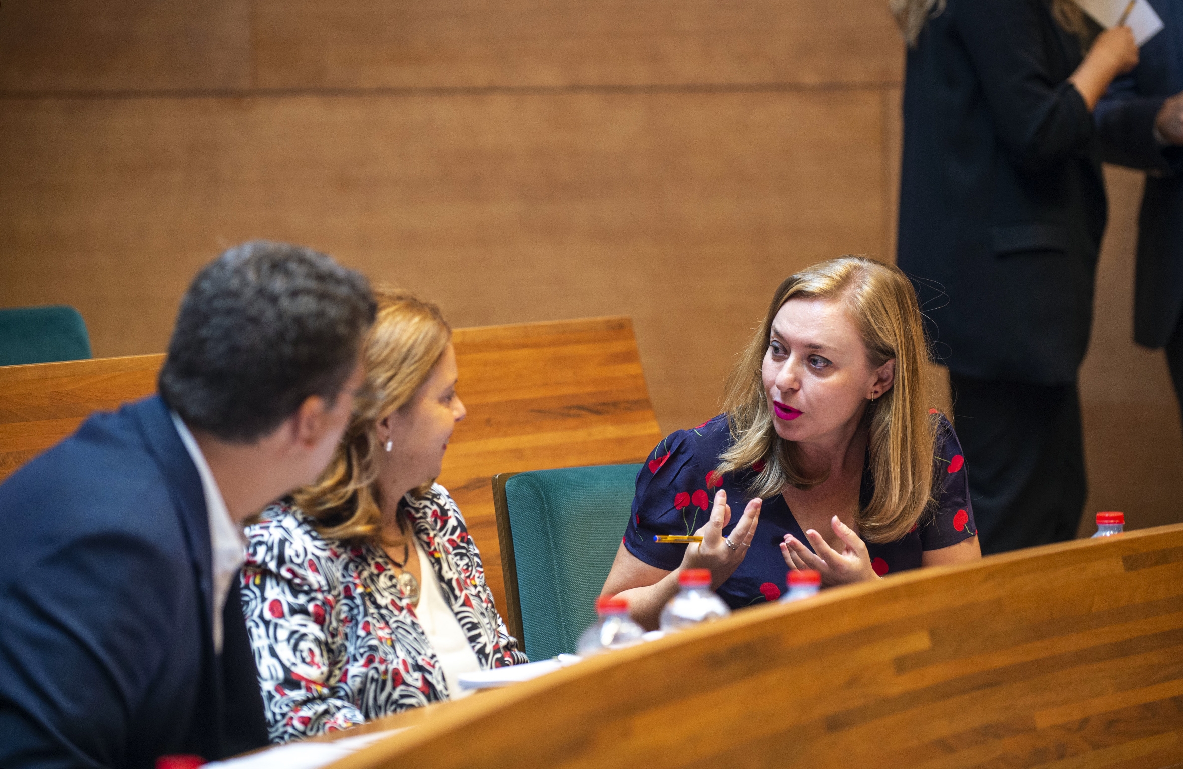 La vicepresidenta i diputada d'Igualtat, Natalia Enguix. Foto: DIVAL - 