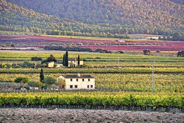 Anar a Venècia o a la Toscana sense eixir de casa: les comparacions odioses del màrqueting turístic
