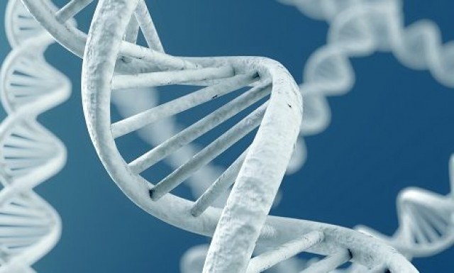 Oryzon Genomics ya ha captado 32 millones de euros en el último año