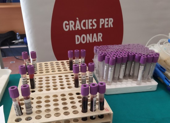 Castellón cuenta con 65 nuevos donantes de médula ósea desde enero