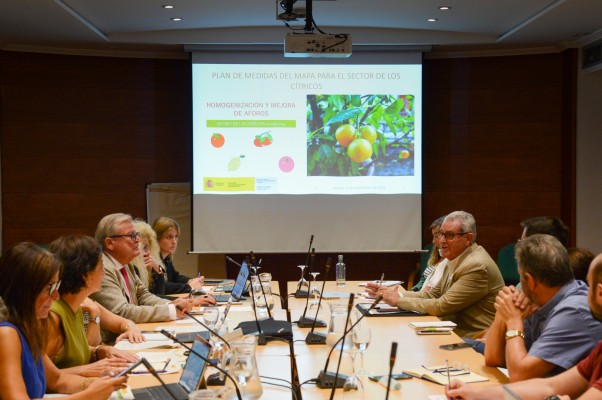 El aforo citrícola: el Ministerio apunta a un bajón en las naranjas y las mandarinas se mantienen