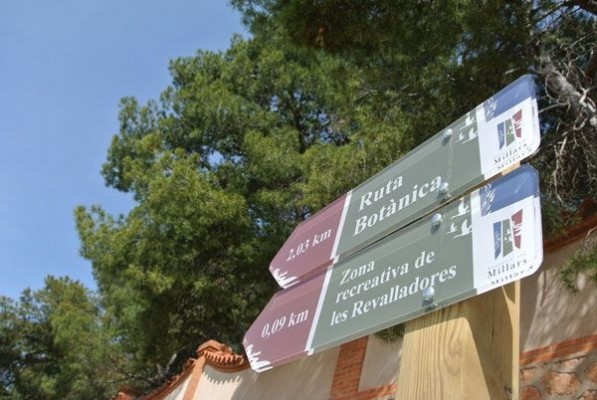 Almassora se abre al Millars: retirará el muro vegetal de la senda verda y mejorará la pista ciclista