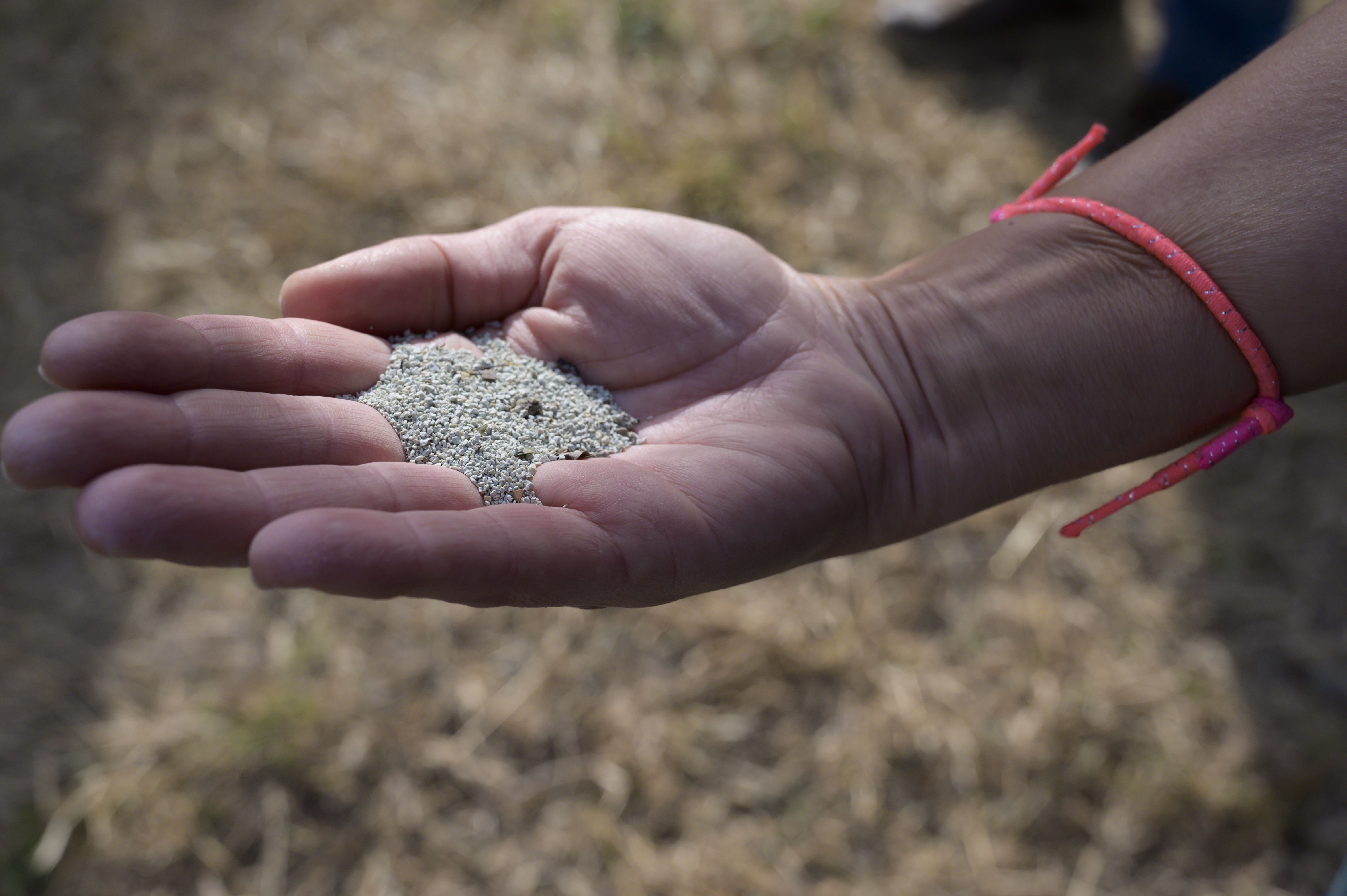 Las zeolitas son la base de esta tecnología para eliminar el fluoruro del agua. Foto: CÉSAR HERNÁNDEZ/CSIC - 