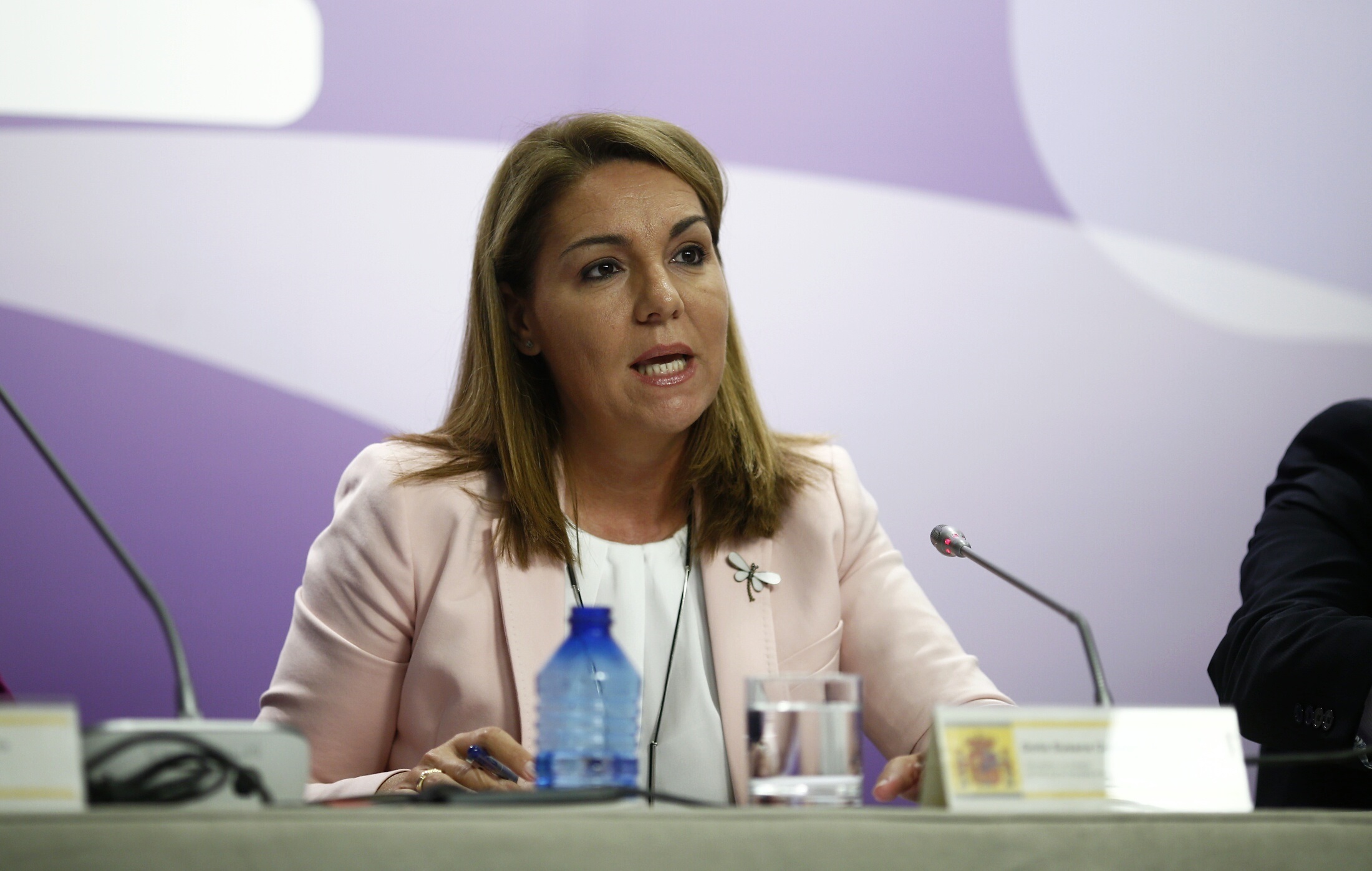 Camarero ve prioritaria una ley del Tercer Sector e invita a las entidades a colaborar en su desarrollo