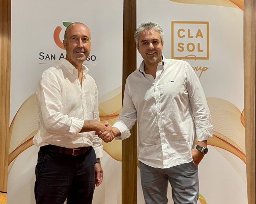 San Alfonso y Clasol crean un nuevo grupo citrícola castellonense con más de 120 millones en ventas