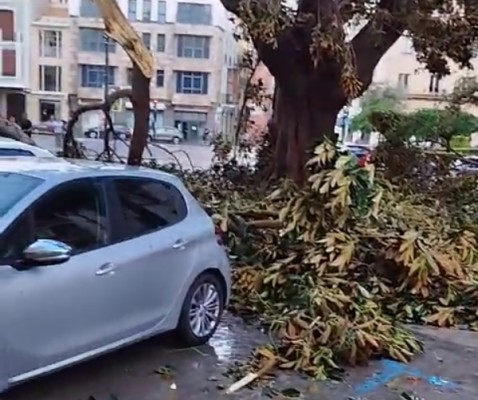 Los fuertes chubascos tormentosos causan numerosas incidencias en Castellón