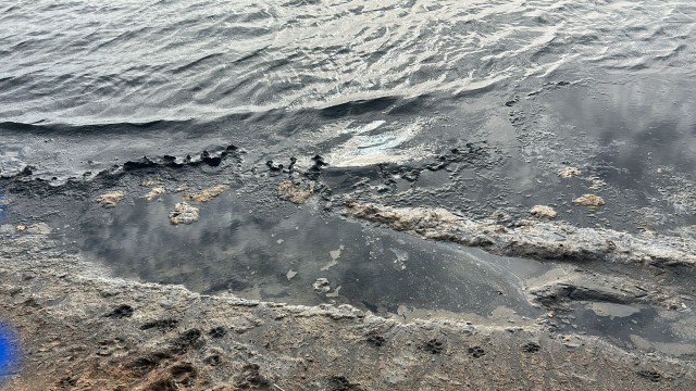 Los vecinos de la playa de los Alemanes desmienten al Ayuntamiento: 