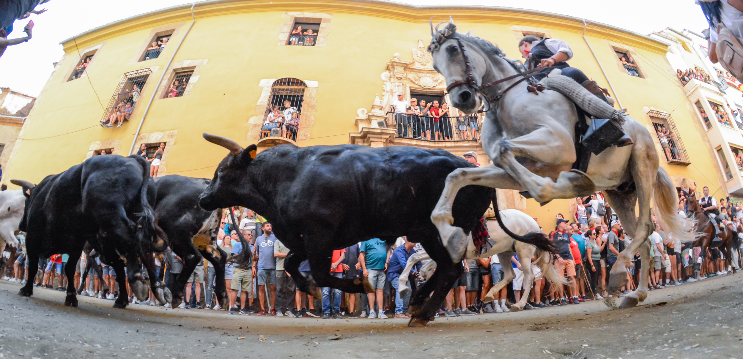 Una última Entrada de Toros y Caballos de Segorbe alargada cierra la semana de fiestas