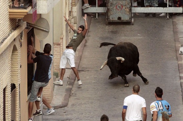 Casi el 40% del dinero público para festejos con toros de España se concede en la Comunitat