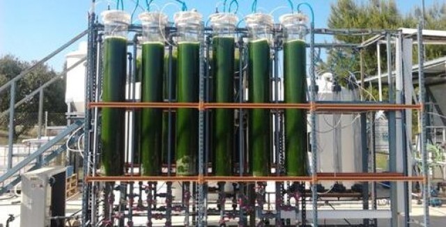 Microalgas para desnitrificar el subsuelo y ayudar al Mar Menor en Los Alcázares