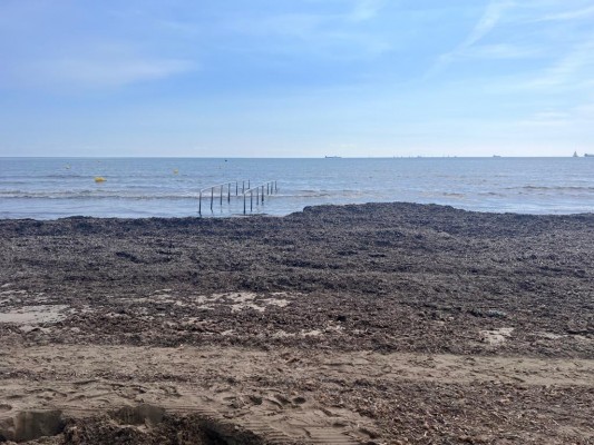 El PSPV denuncia la basura en las playas de Castelló una semana tras las lluvias en temporada turística
