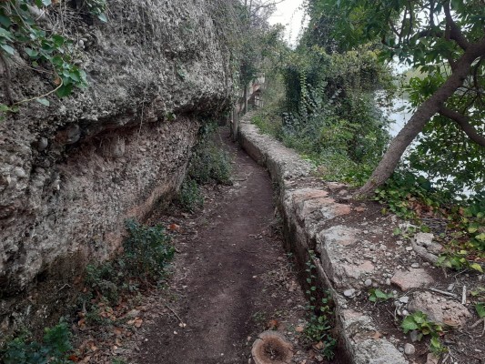 La ruta Botànica del riu Millars torna a estar oberta després dels problemes provocats per les pluges