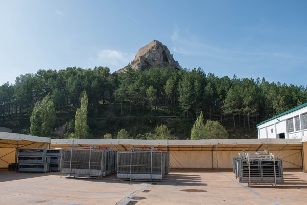 La Fira de Morella recupera la degustació de carn de la comarca per reivindicar el sector primari