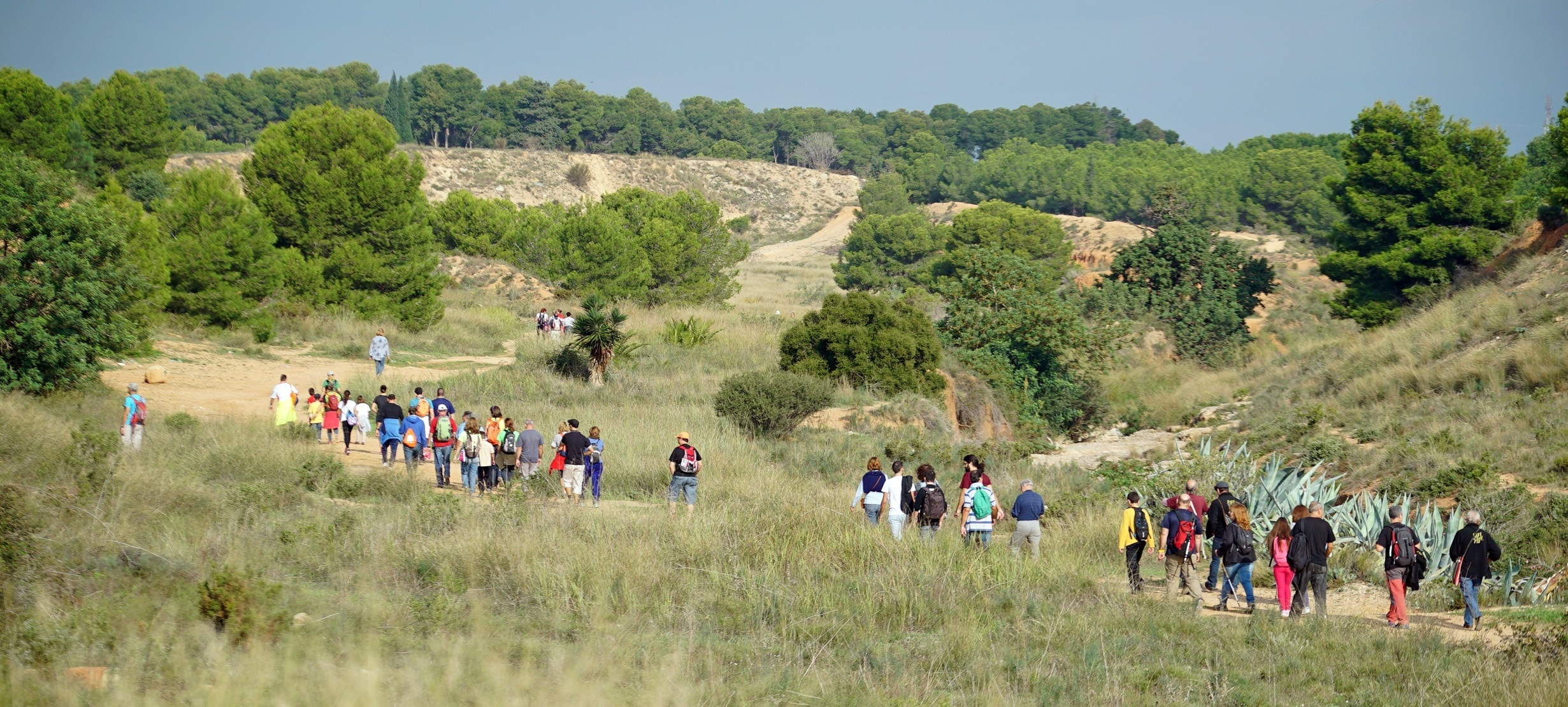 Compromís recuerda al Consell que el PORN del Túria sigue en vigor y protege al parque de 