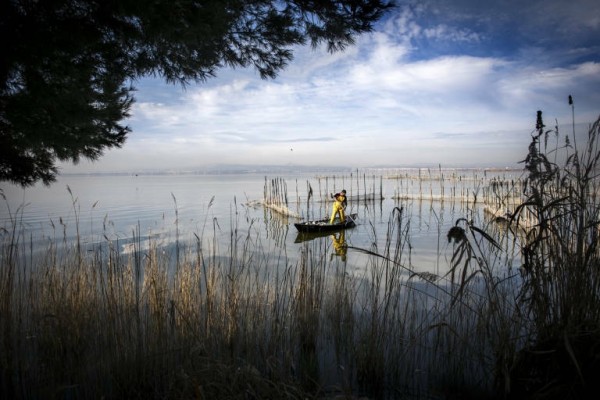 El BCE destaca que el impacto económico negativo de la transición ecológica será menor cuanto antes se inicie